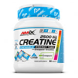 Amix Performance 2500mg Kreatin Kautabletten